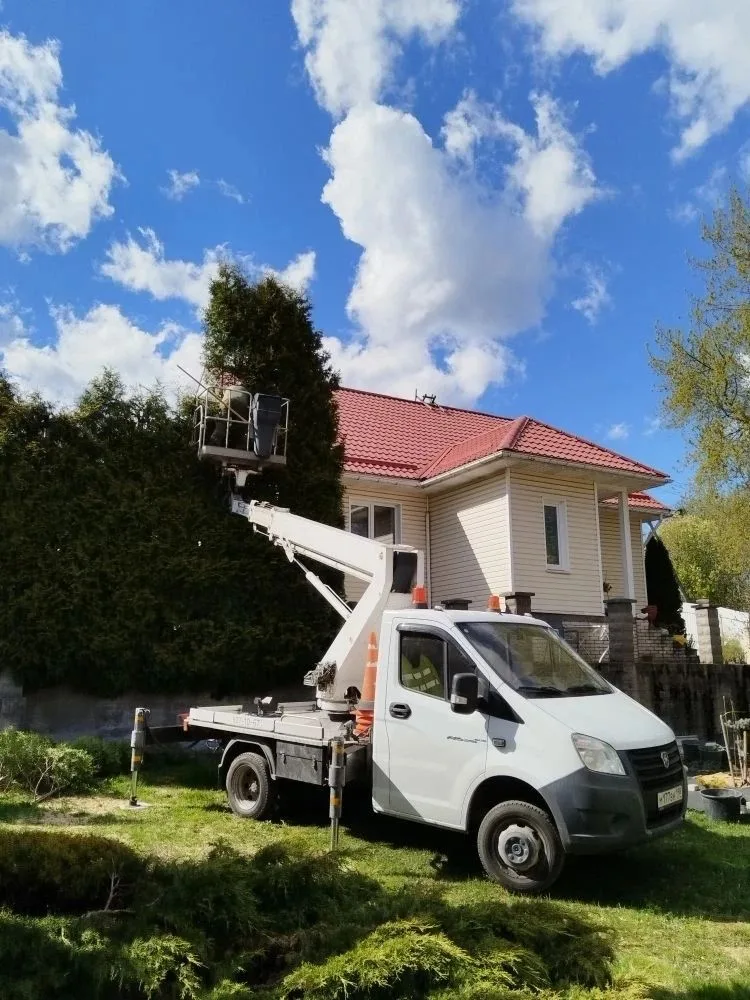Аренда и услуги автовышки в Петергофе